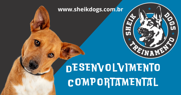 O desenvolvimento comportamental de um cachorro é um processo dinâmico e contínuo, essencial para garantir que ele cresça de forma saudável, equilibrada e feliz