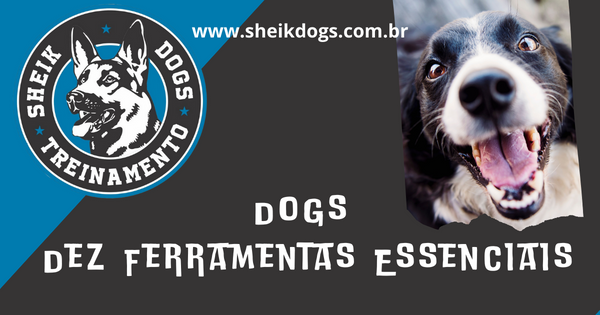 Dogs ferramentas para donos de cachorro