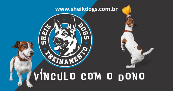 Vínculo do cachorro com o seu dono