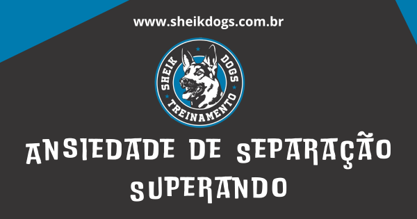 Anciedade de separação do cachorro com seu dono. Treinamentosheik dogs