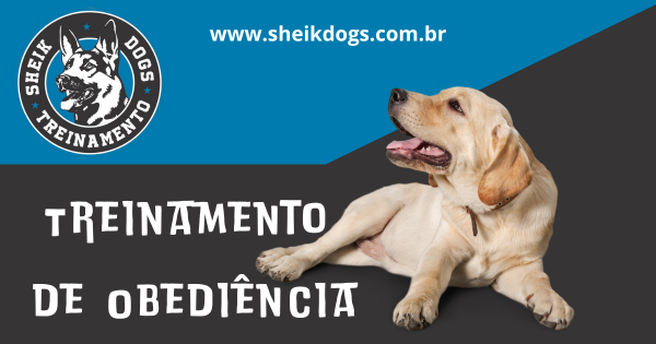 Treinamento de obediência de cães - Sheik dogs
